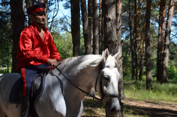 Шашка – победителю. В Серпуховском районе прошли дистанционные конные пробеги на приз атамана ВКО ЦКВ