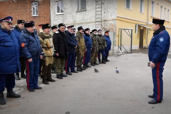 Содействие полиции в охране общественного порядка. Тульское казачество