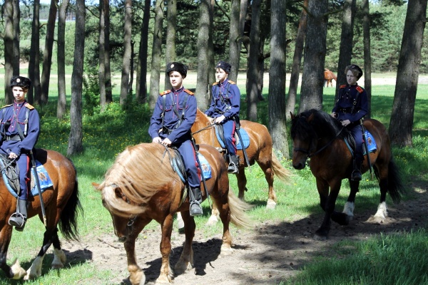 Соревнования по конному спорту прошли в Калуге
