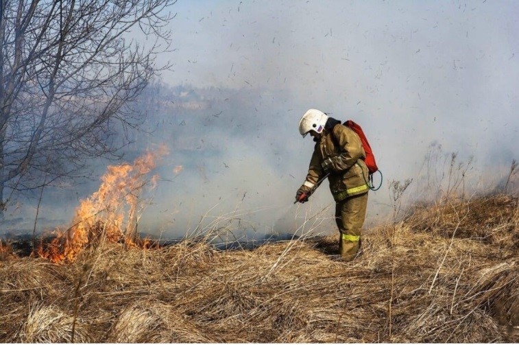 Рязанские казаки оказывают содействие пожарным