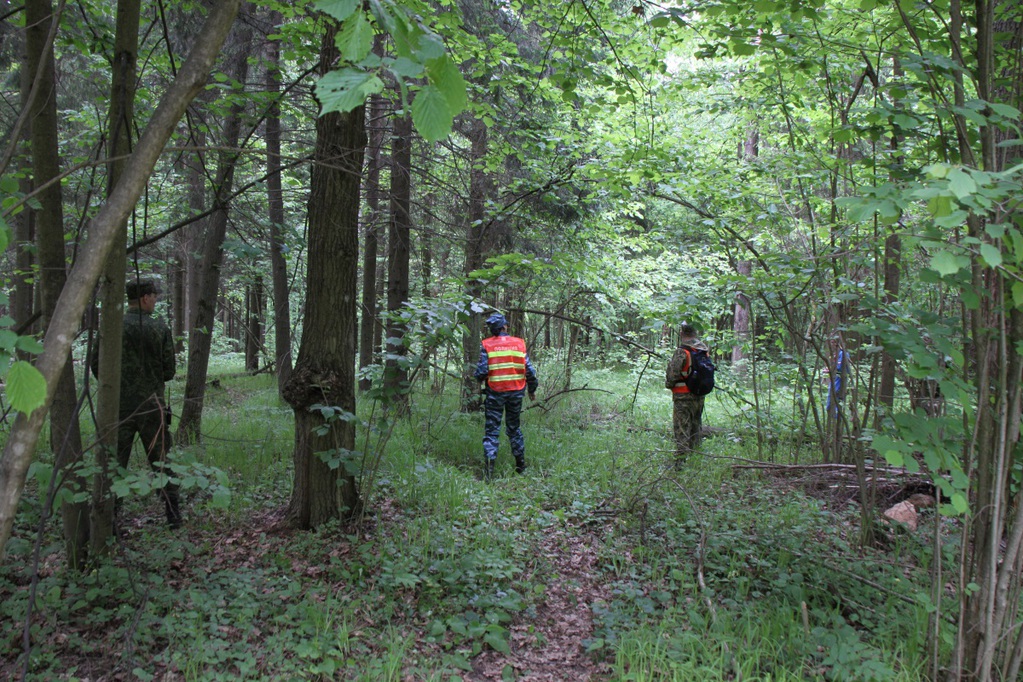 В Одинцовском районе искали пропавших людей
