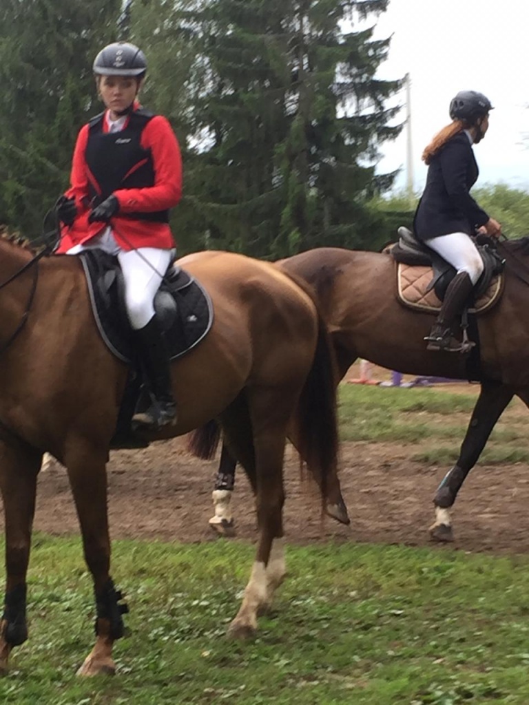  В Гагарине прошли соревнования по конному спорту