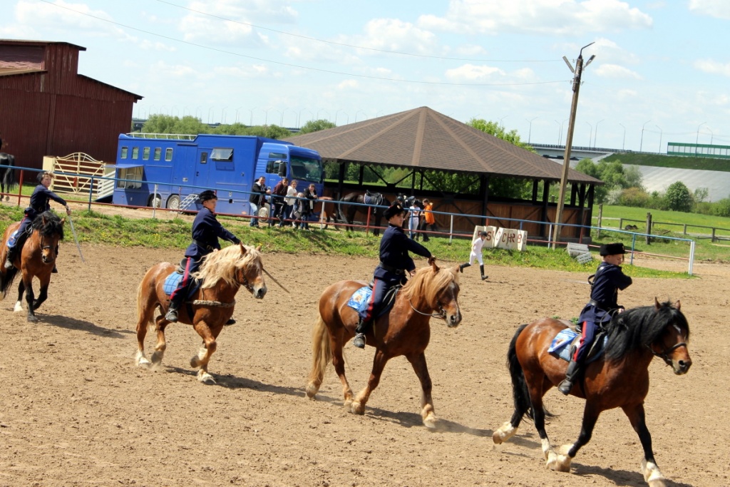 Соревнования по конному спорту прошли в Калуге