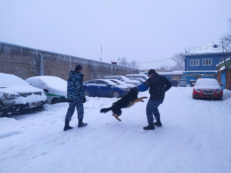 В Подмосковье полицейские и общественник присоединились к акции «Студенческий десант»